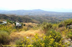 24 SIERRA NEVADA DE UGIJAR A TREVELEZ (25)
